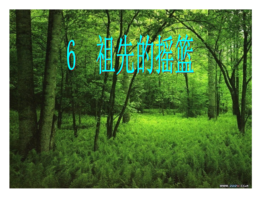 祖先的摇篮(课堂PPT).ppt_第2页