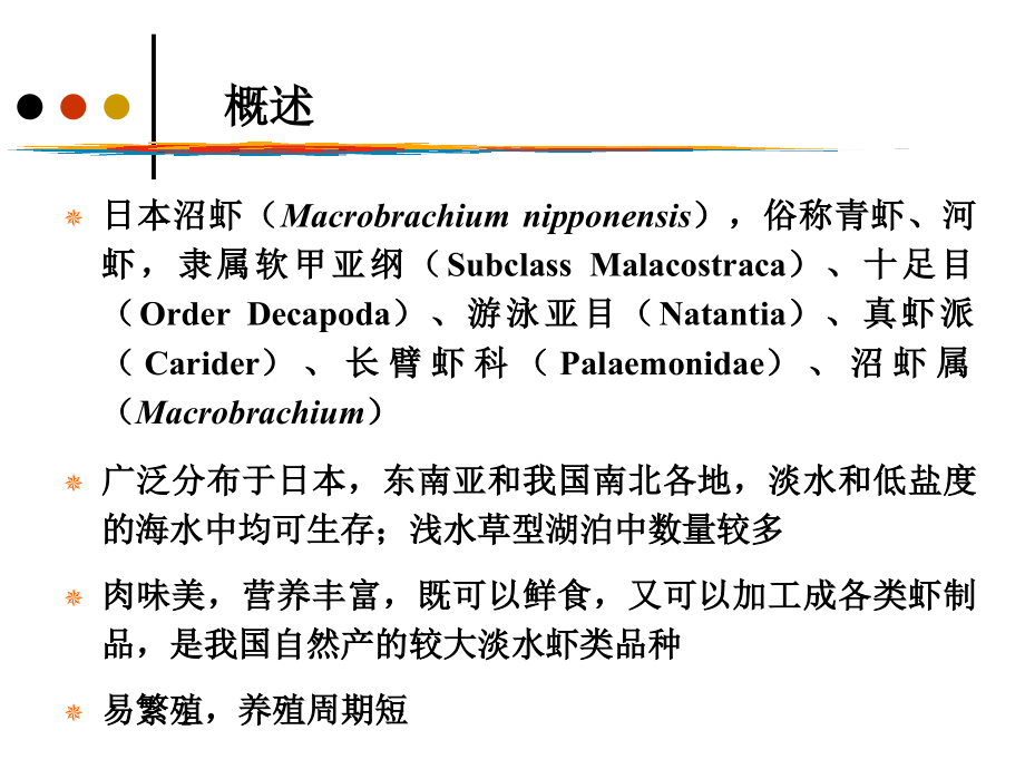 日本沼虾的养殖(课堂PPT).ppt_第2页