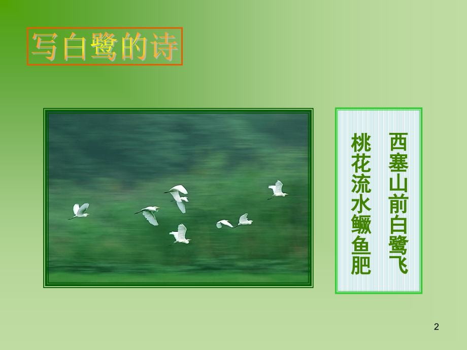 散文家谈散文(课堂PPT).ppt_第2页