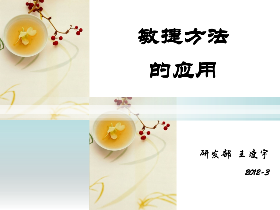 敏捷SCRUM方法的推广及实例PPT.ppt_第1页