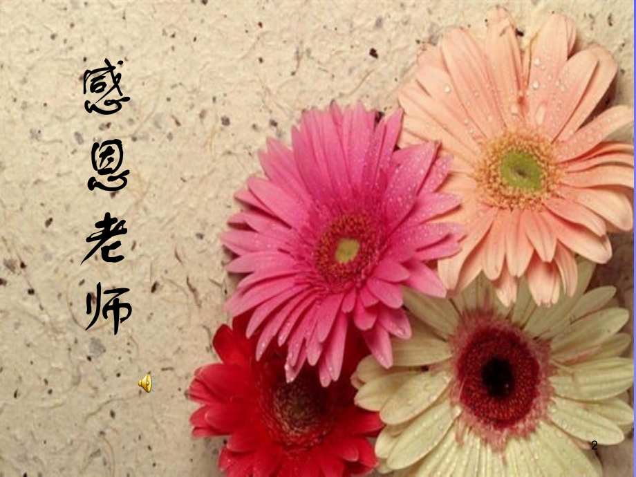 感恩教师优秀PPT.ppt_第2页
