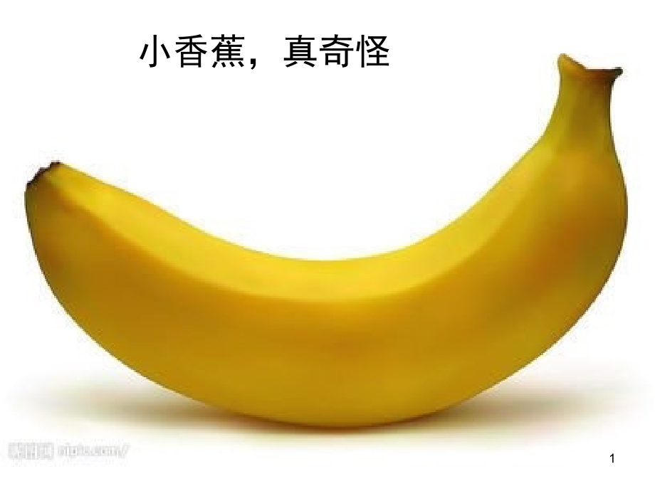 小班儿歌小香蕉(课堂PPT).ppt_第1页