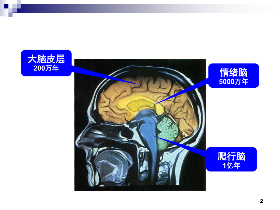 教练式父母(课堂PPT).ppt_第2页