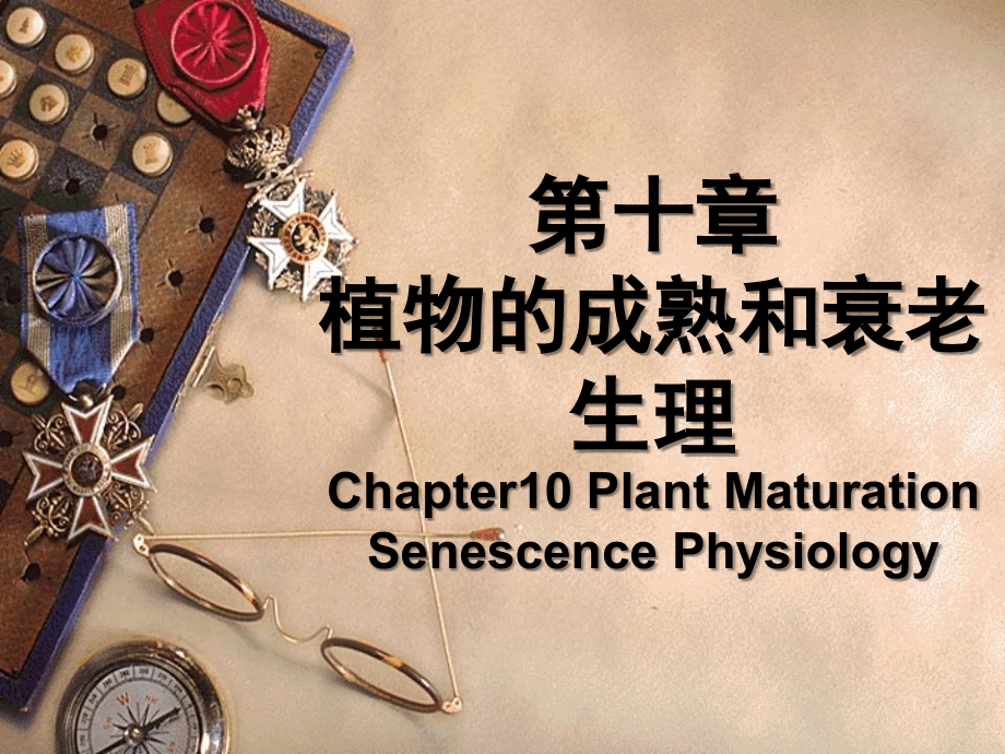 成熟和衰老生理.ppt_第1页