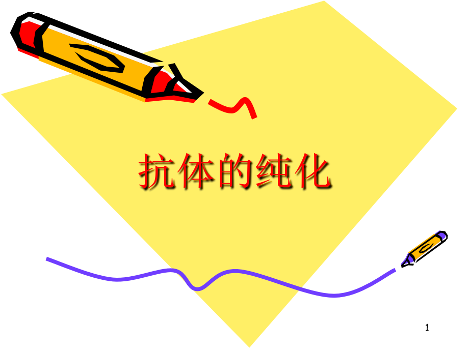 抗体纯化.ppt_第1页