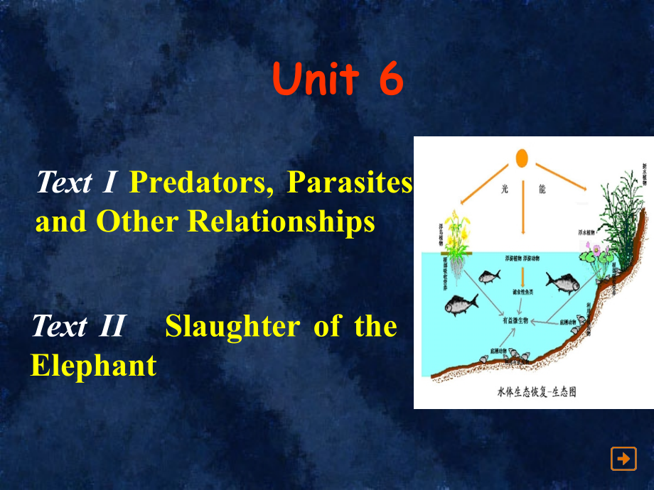 新编英语教程4-unit6演示课件.ppt_第1页