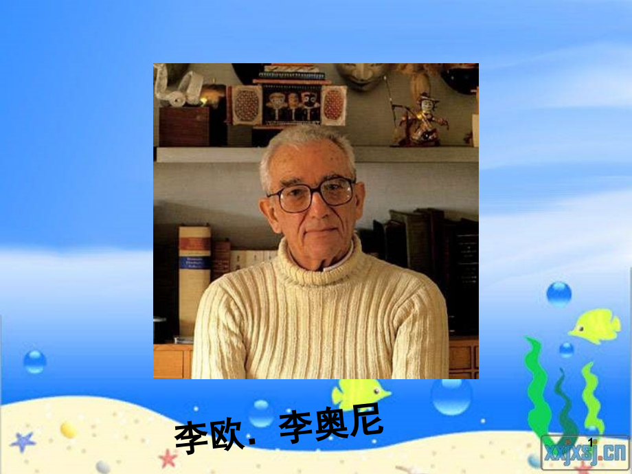 小黑鱼(公开课)PPT课件.ppt_第1页