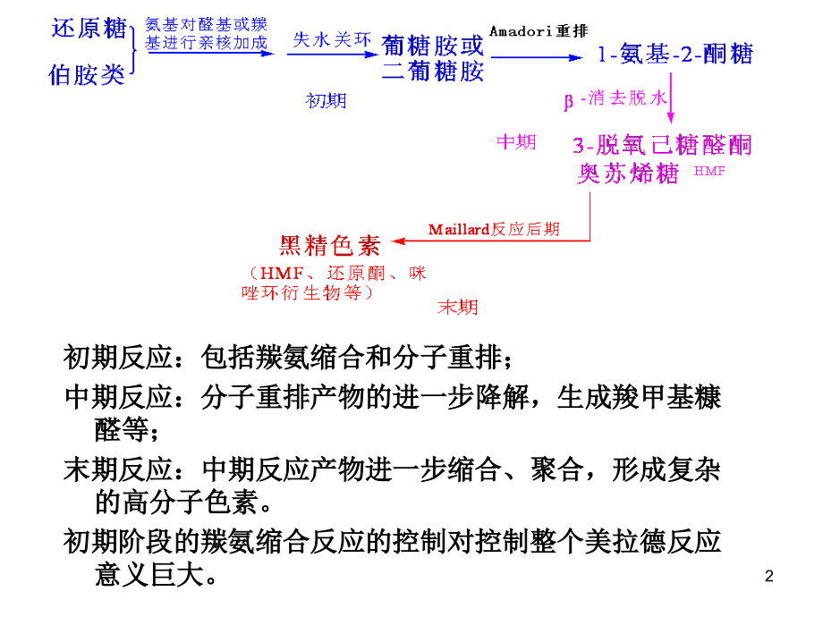 美拉德反应和焦糖化反应.ppt_第2页