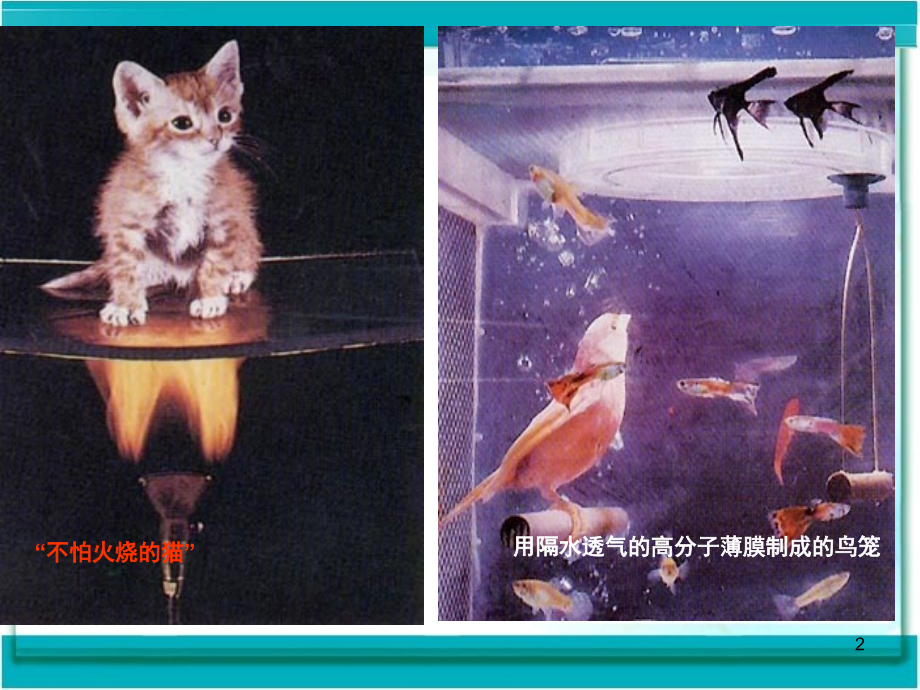 有机合成材料(课堂PPT).ppt_第2页