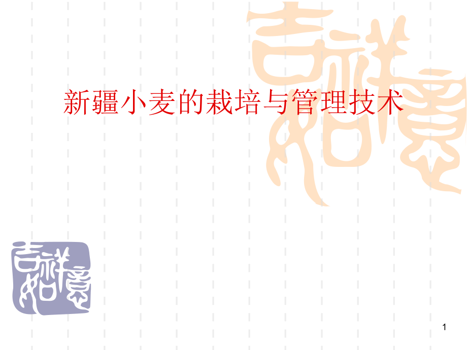 新疆小麦高产栽培技术.ppt_第1页