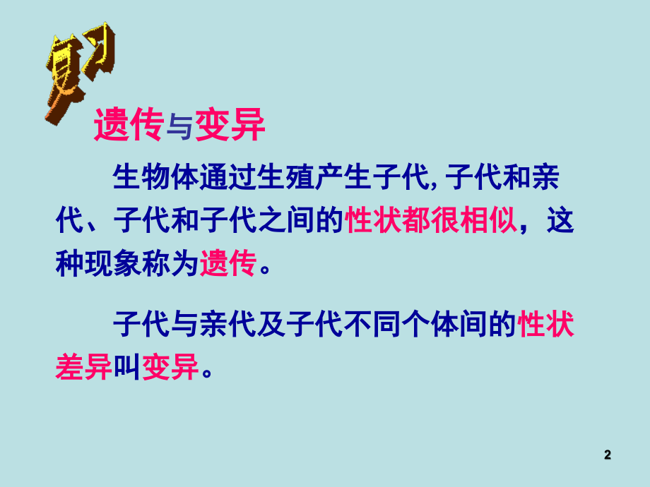 遗传与进化.ppt_第2页