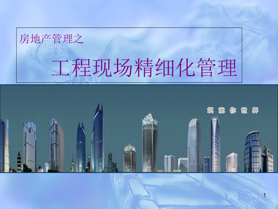 工程精细化管理-文档资料.ppt_第1页