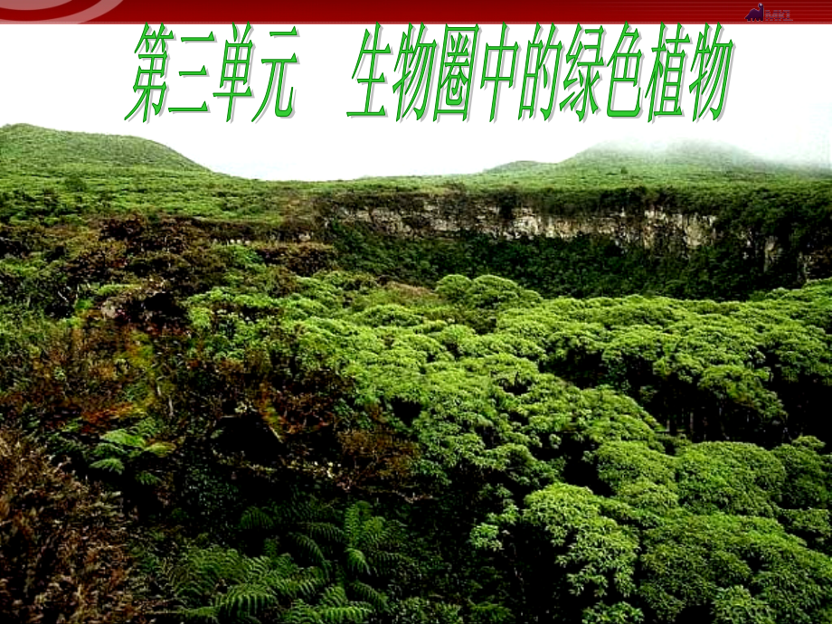 第一节藻类、苔藓和蕨类植物PPT.ppt_第1页