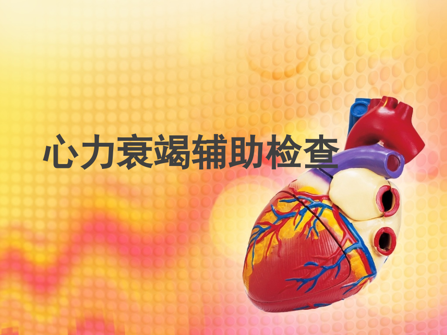心力衰竭辅助检查(课堂PPT).ppt_第1页