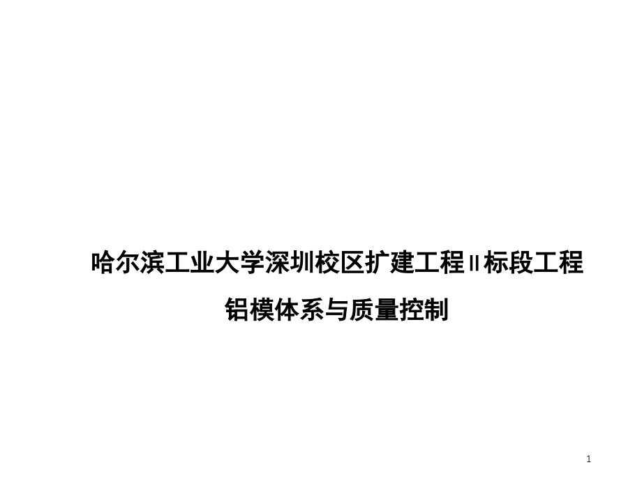 铝模体系及质量控制.ppt_第1页