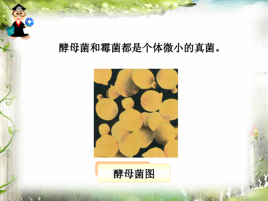 第一节酵母菌和霉菌.ppt_第1页