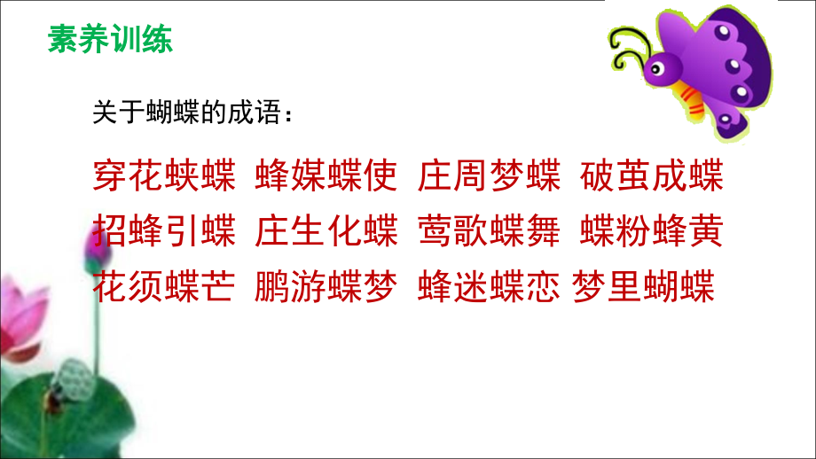 小毛虫(上交)(课堂PPT).ppt_第1页