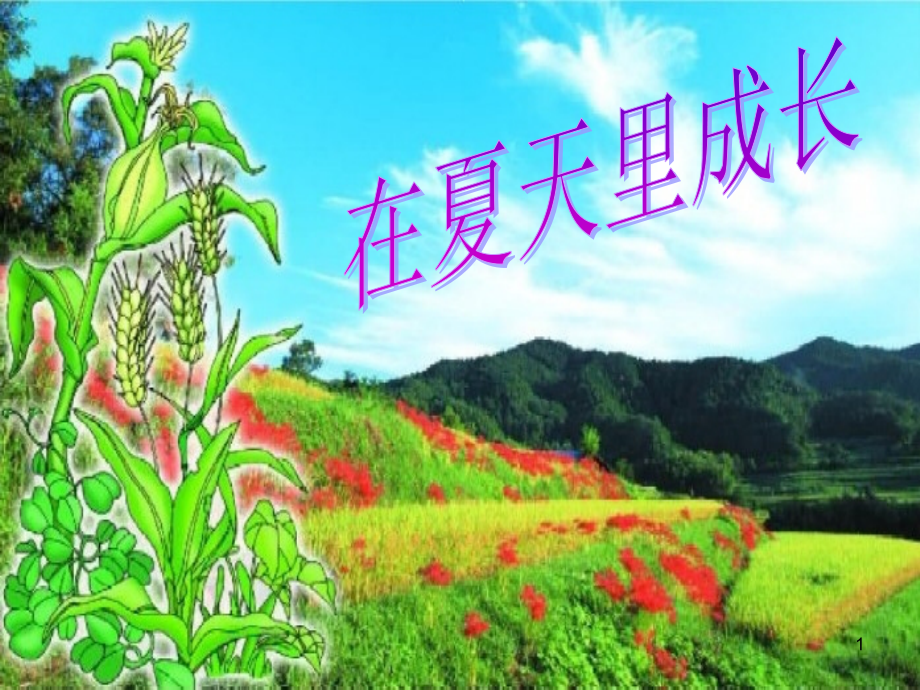 在夏天里成长(课堂PPT).ppt_第1页