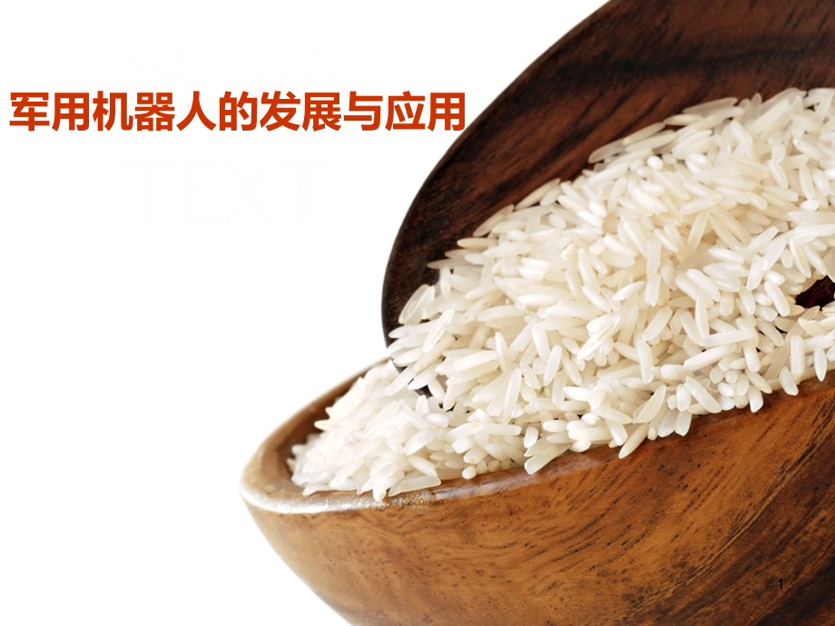 军用机器人的发展与应用.ppt_第1页