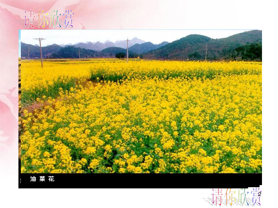 因地制宜发展农业.ppt_第2页