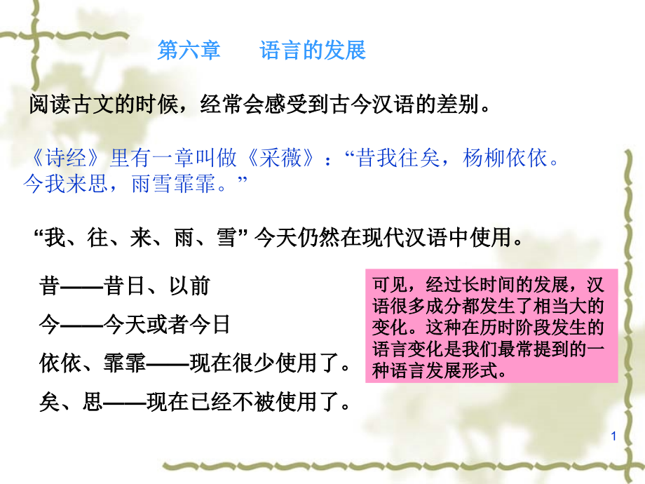 山师-研究生第六章-语言的发展PPT课件.ppt_第1页