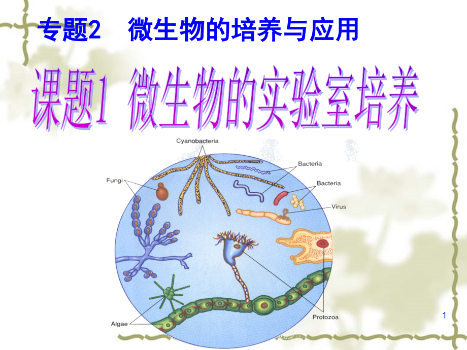 培养基1000mL牛肉膏蛋白胨培养基的营养构成PPT幻灯片课件.ppt_第1页