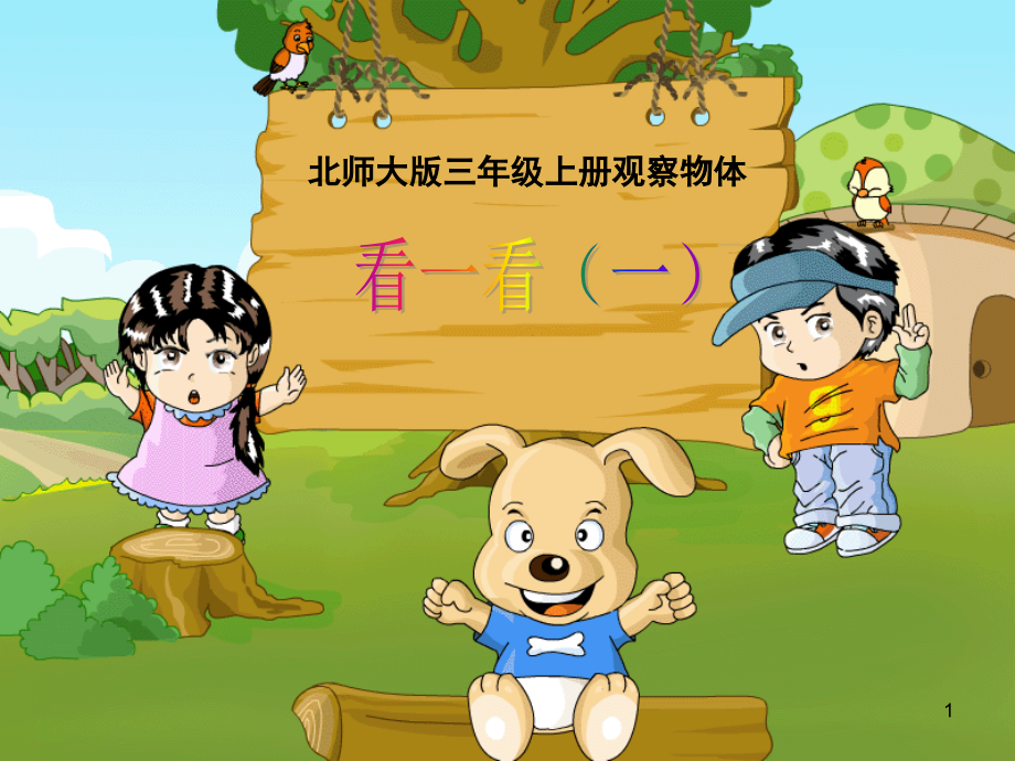 北师大版三年级观察物体看一看(课堂PPT).ppt_第1页