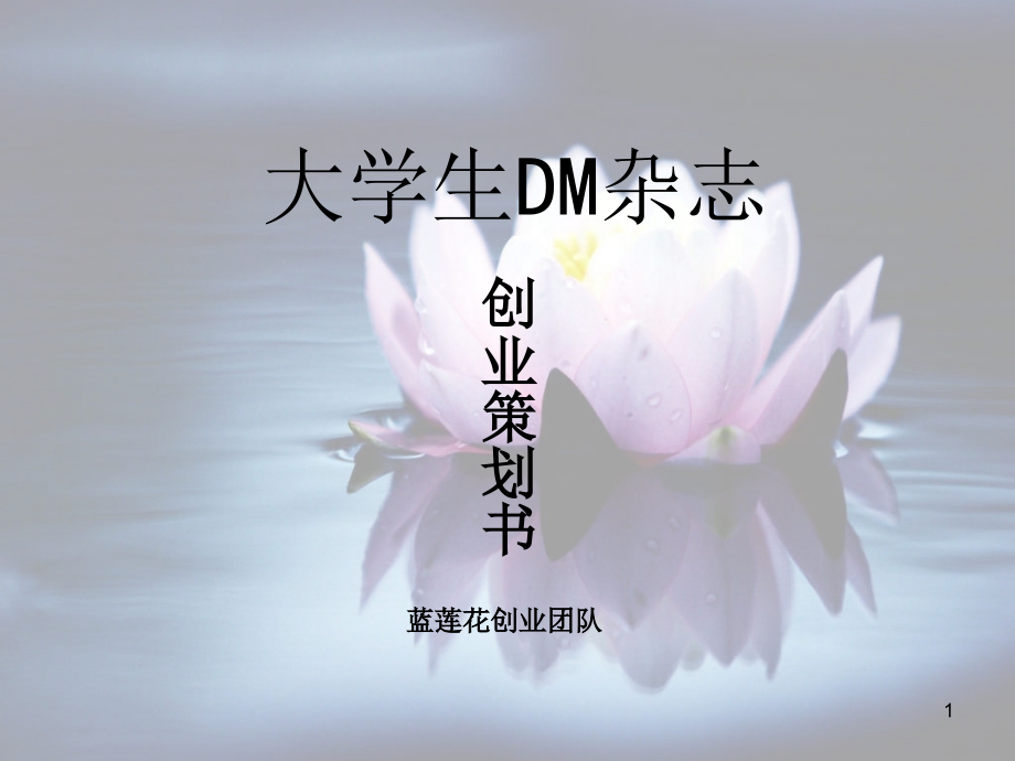 大学生DM杂志创业策划演示课件.ppt_第1页