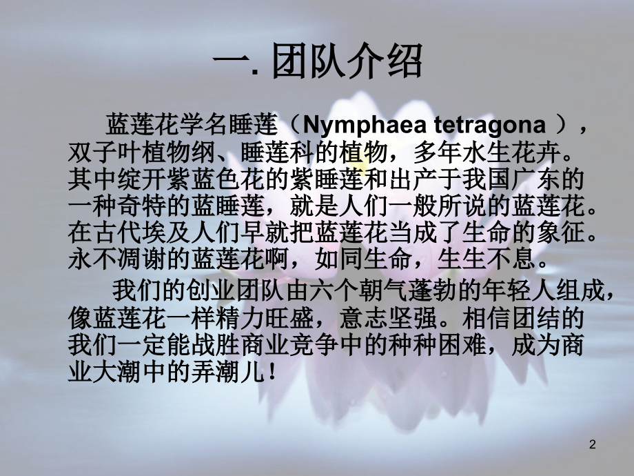 大学生DM杂志创业策划演示课件.ppt_第2页