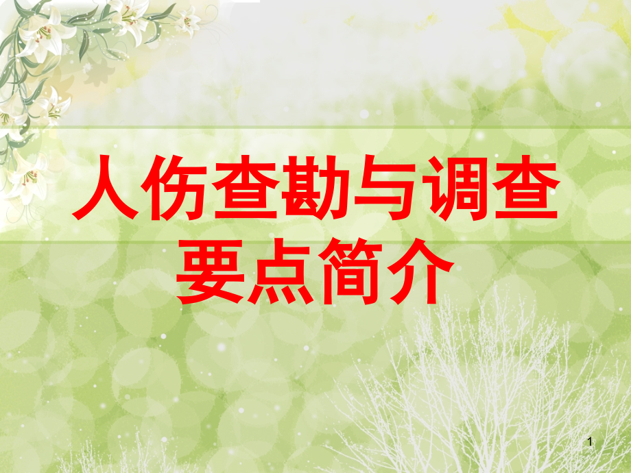 人伤查勘与调查要点简介(课堂PPT).ppt_第1页