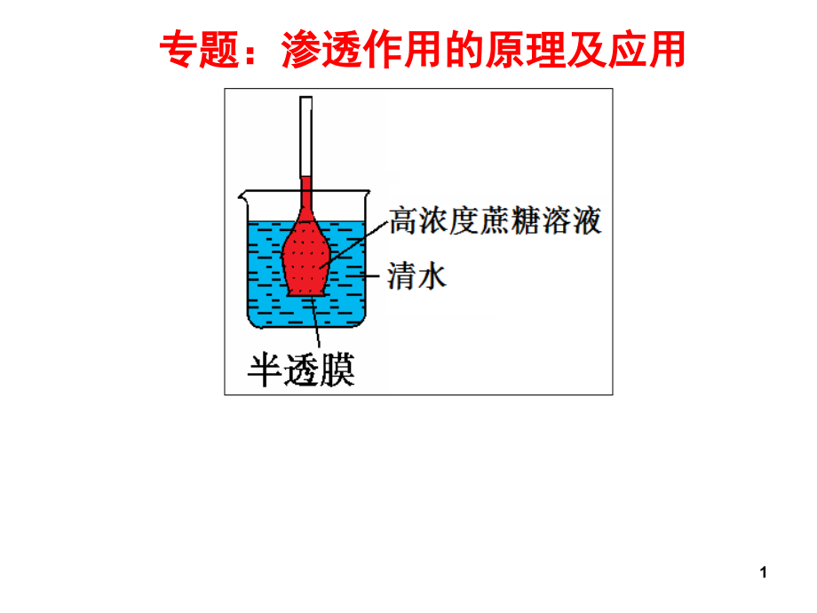 专题-渗透作用的原理和应用(课堂PPT).ppt_第1页