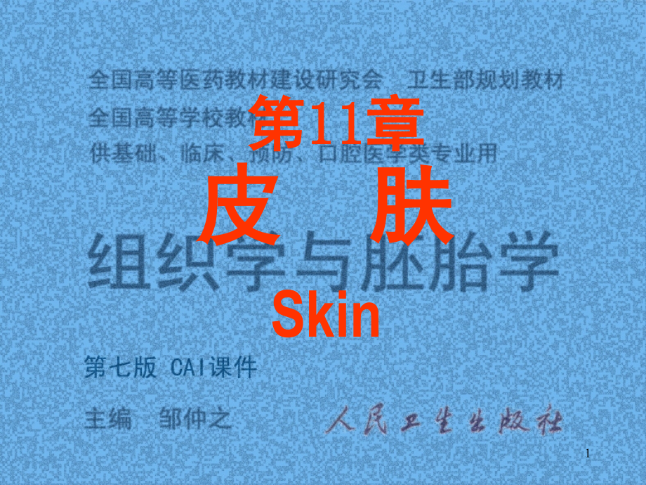 人面部皮肤结构图详解课件.ppt_第1页