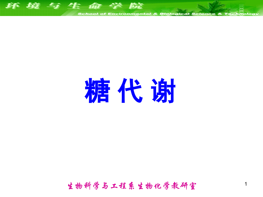 大连理工大学生物化学--糖酵解和己糖的分解代谢优秀PPT.ppt_第1页