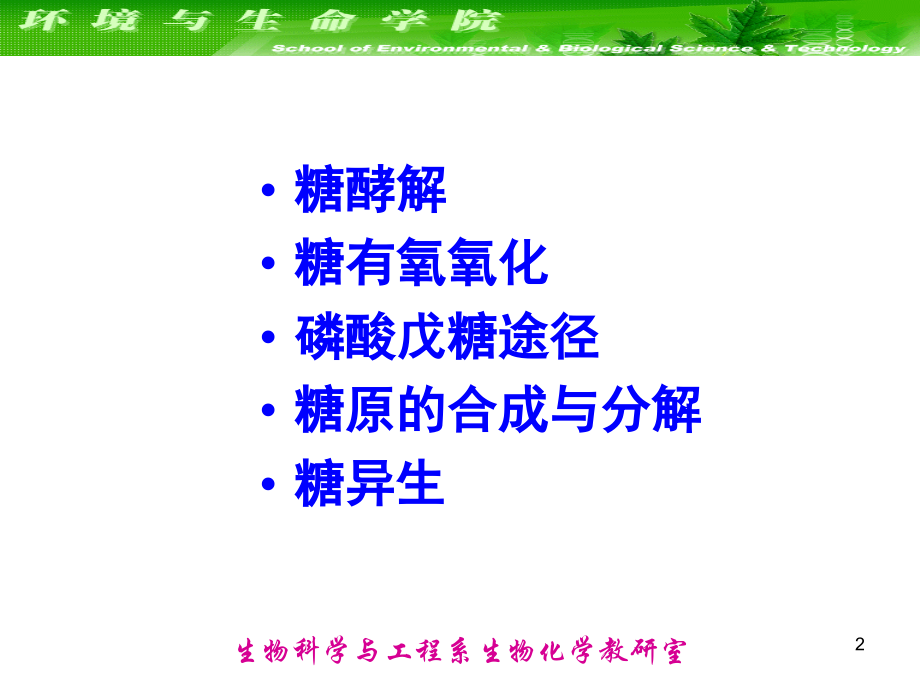 大连理工大学生物化学--糖酵解和己糖的分解代谢优秀PPT.ppt_第2页