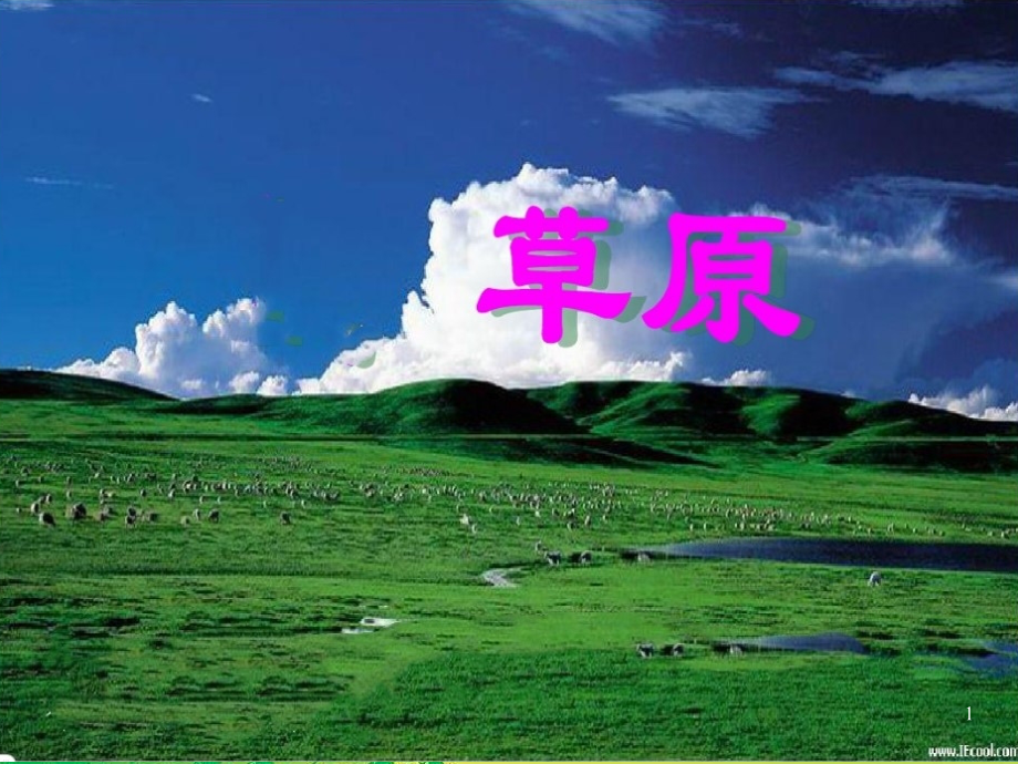 人教版五年级下册《草原》(课堂PPT).ppt_第1页
