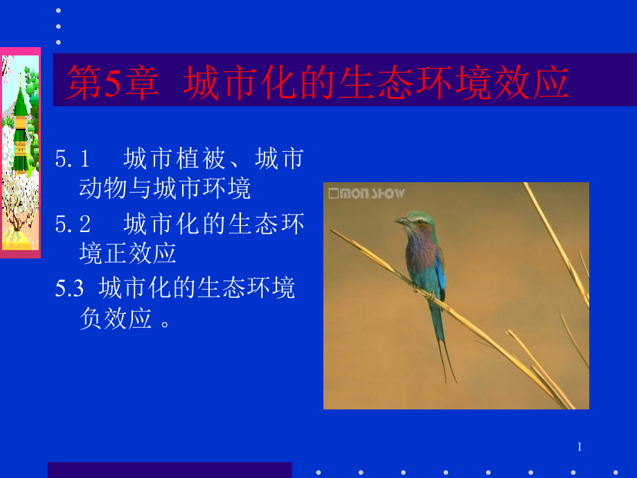 城市化的生态环境效应优秀PPT.ppt_第1页