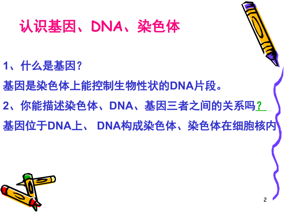 初中生物生物的遗传习题.ppt_第2页