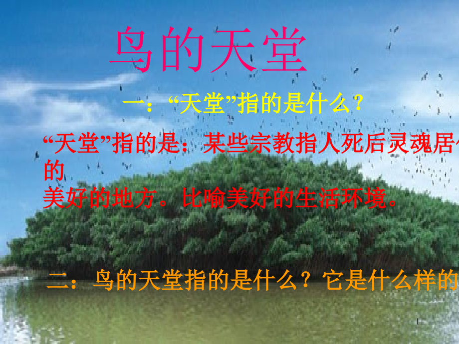 《鸟的天堂》(课堂PPT).ppt_第1页