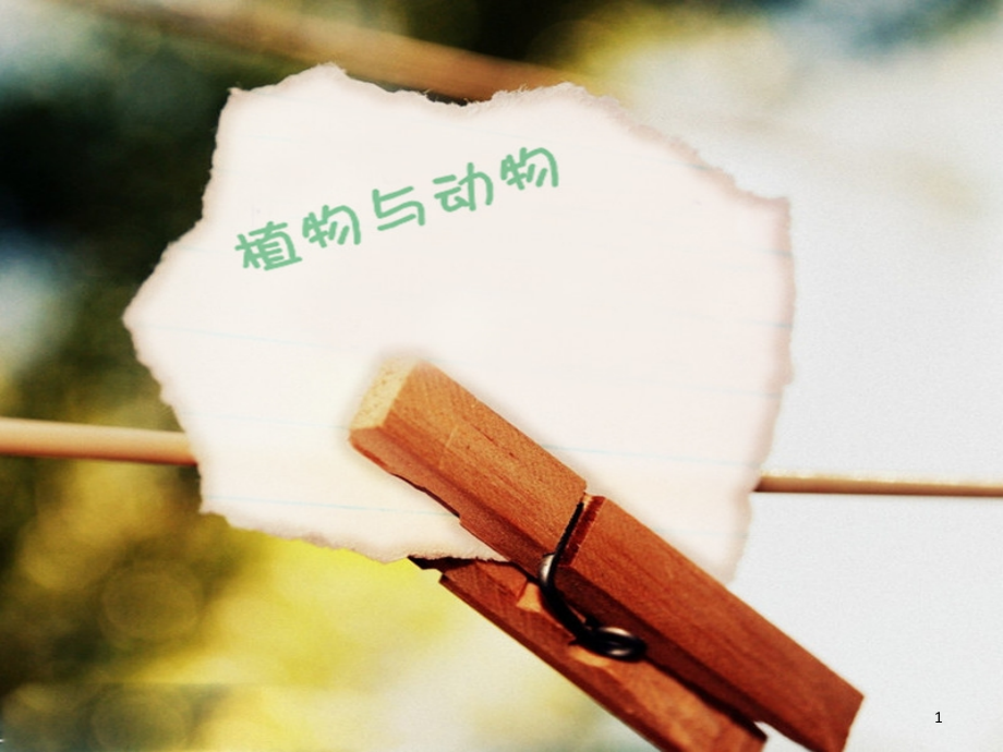 十种濒临灭绝的动物与植物.ppt_第1页