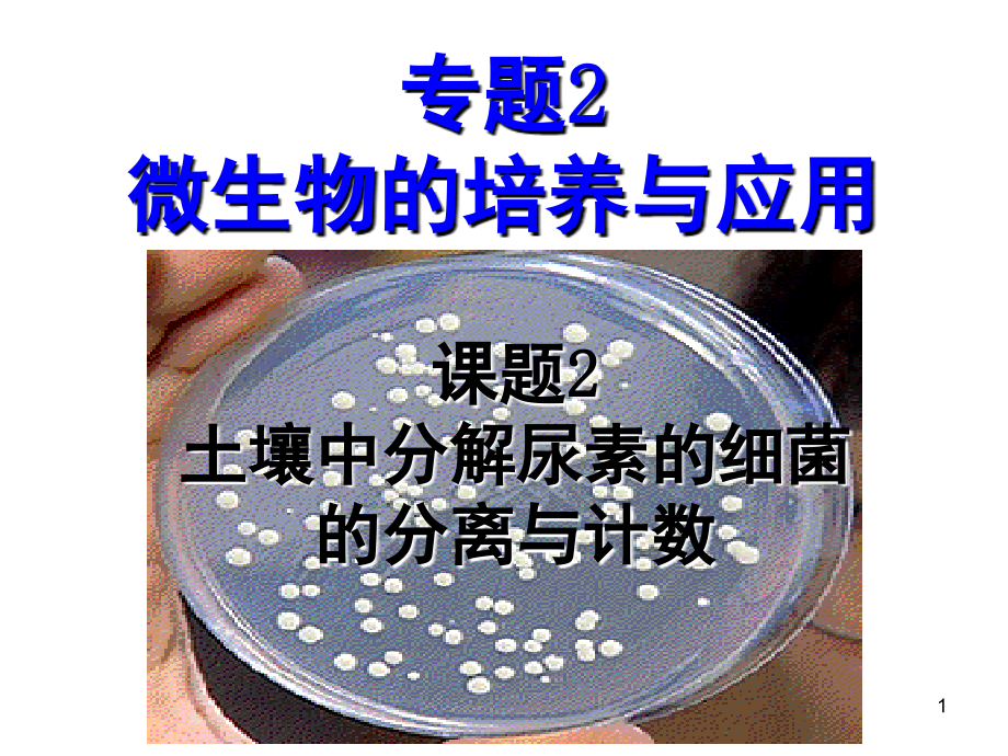 土壤中分解尿素的细菌的分离与计数(已用)(课堂PPT).ppt_第1页