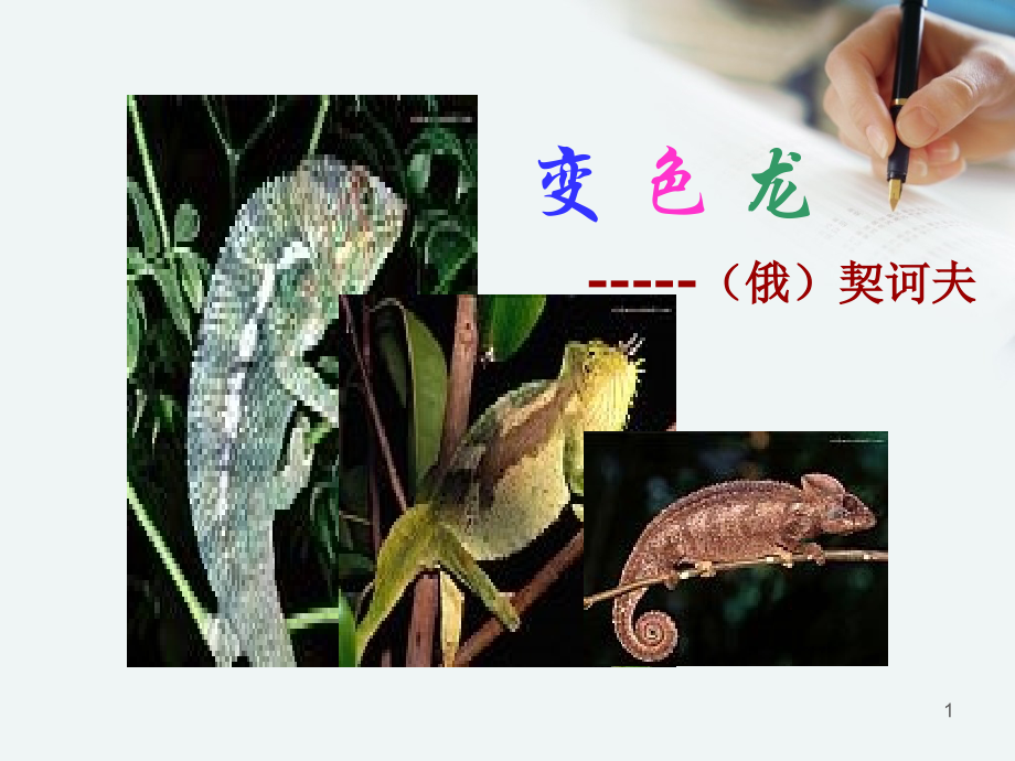 变色龙契诃夫课件PPT.ppt_第1页