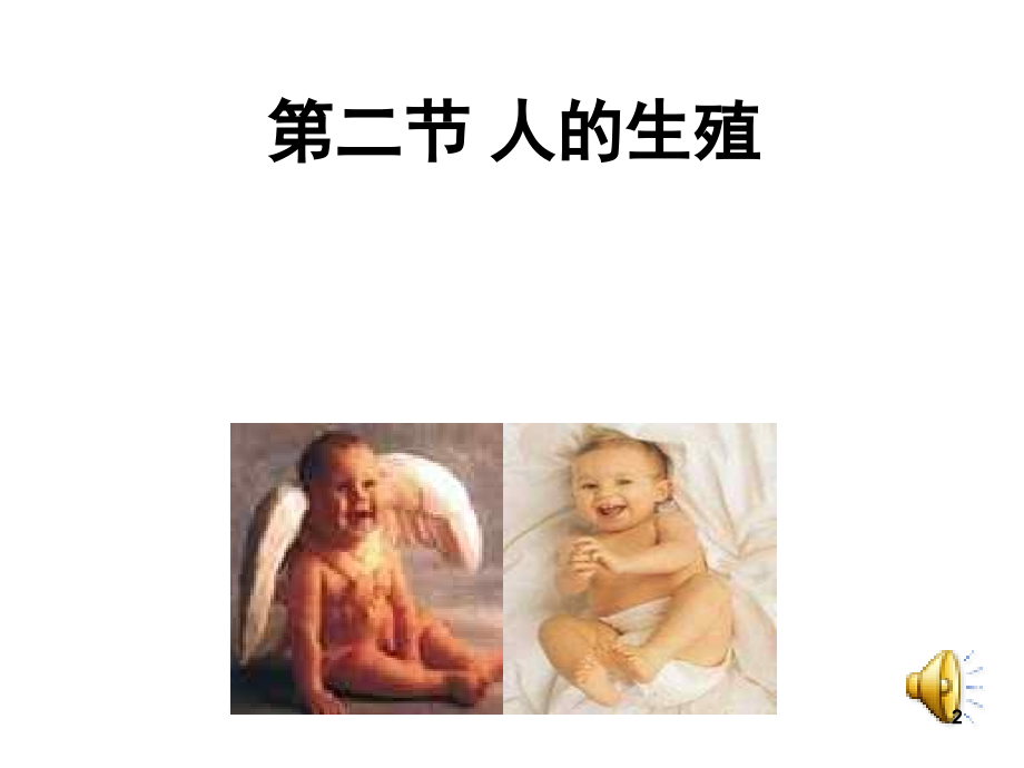 七年级下册-人的生殖.ppt_第2页