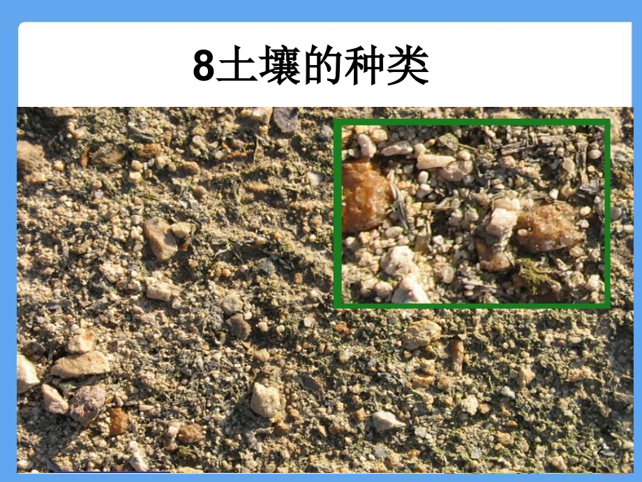 土壤的种类.ppt_第2页