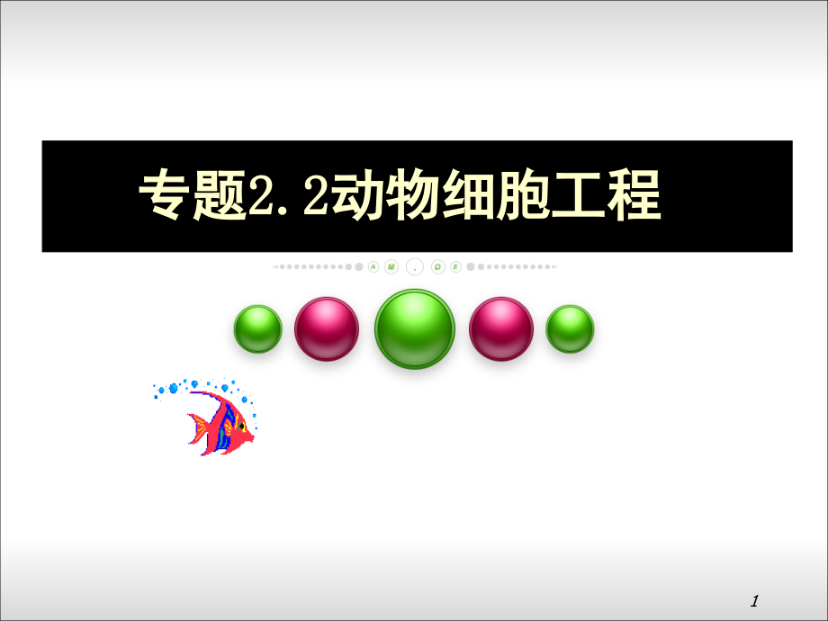 动物细胞工程.ppt_第1页