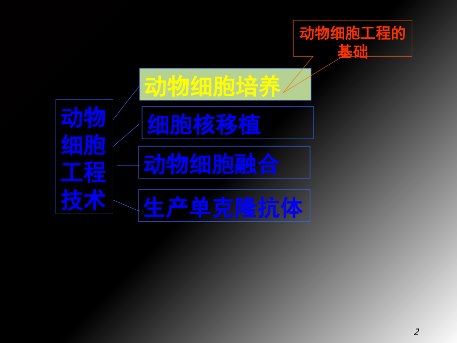 动物细胞工程.ppt_第2页