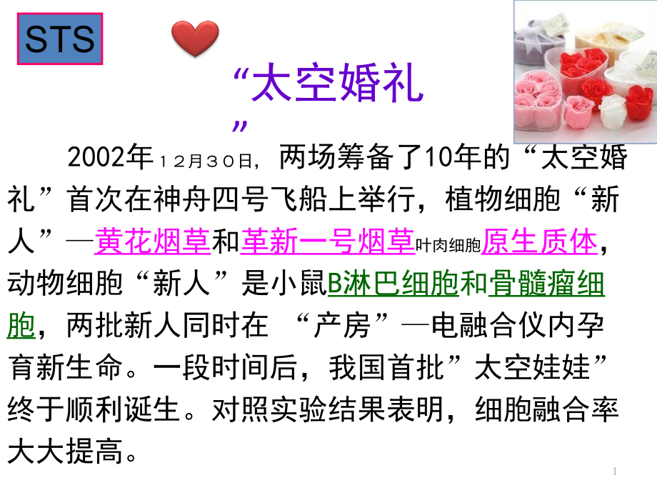 动物细胞的融合与单克隆抗体.ppt_第1页