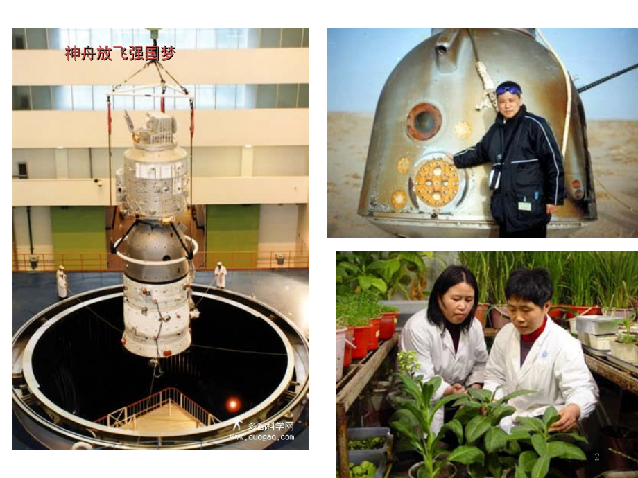 动物细胞的融合与单克隆抗体.ppt_第2页