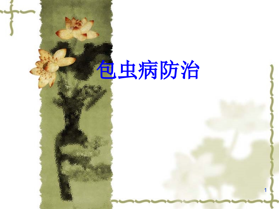包虫病防治知识培训演示课件.ppt_第1页