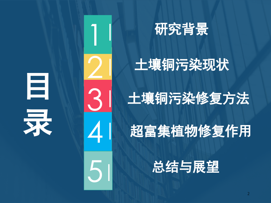 土壤中铜污染及其超富集植物的修复作用演示幻灯片.ppt_第2页