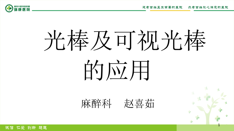 光棒及可视光棒的应用.ppt_第1页